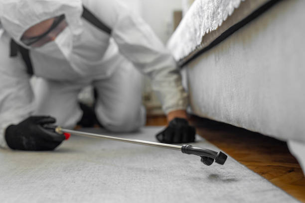 Professional Bed Bug Control technician working in Four Corners, MT